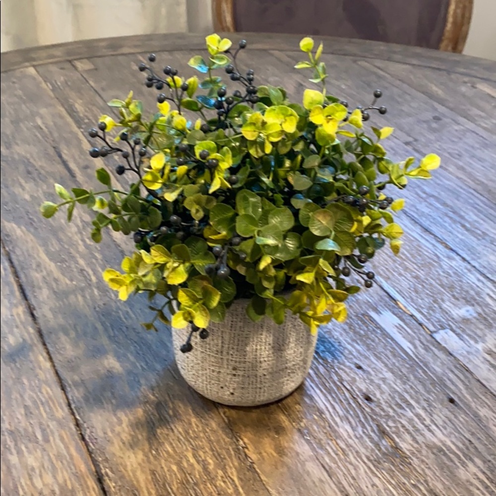 Floral in Ceramic Pot